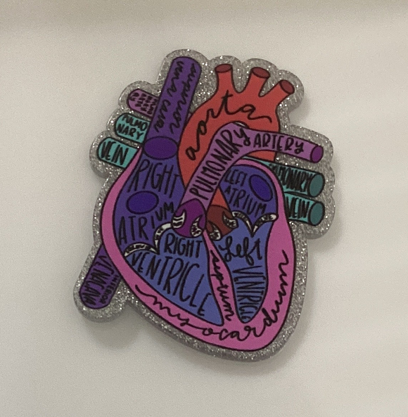 Diagram of Heart Acrylic