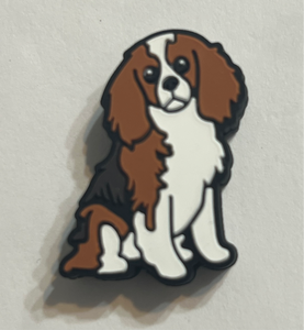 Cocker Spaniel Dog