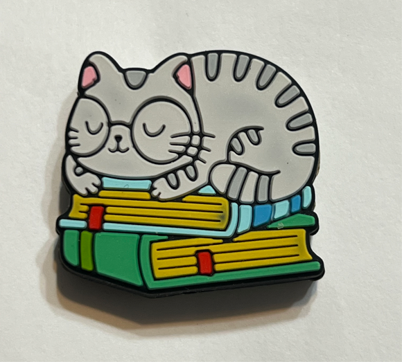 Cat Sleeping on Books